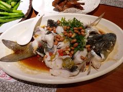 姜葱霸王鱼-淇乐多品味馆(江南大道店)