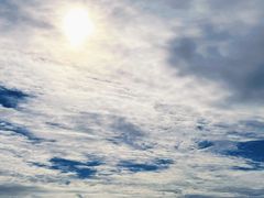 -海南热带雨林国家公园吊罗山景区
