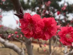 -京东石林峡风景区