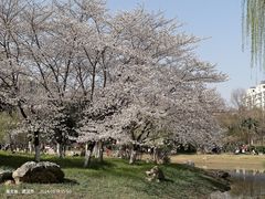 -堤角公园