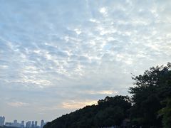 -南宁南湖公园