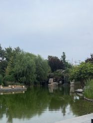 -巍阁月子中心(国贸店)