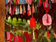 -曼听御花园