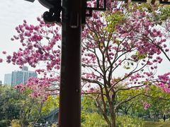 -四海公园(南山区)