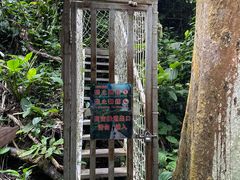 -西双版纳原始森林公园