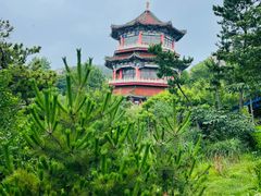 -西霞口神雕山野生动物世界