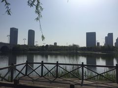 -尚贤河湿地