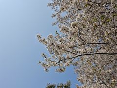 -苏州上方山国家森林公园