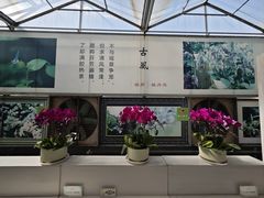 -兰陵国家农业公园