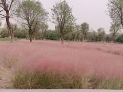 -汉长安城未央宫国家考古遗址公园