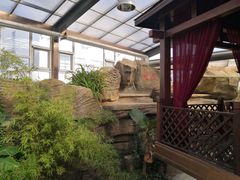 -北镇龙岗子生态园