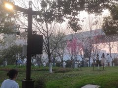 -堤角公园