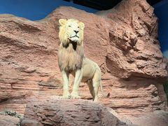 -浙江自然博物院(杭州馆)
