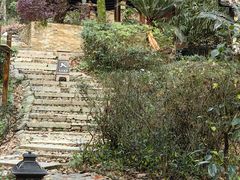 -明月山天沐温泉度假村