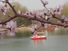 -河北省园博园