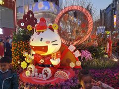 -越秀西湖花市(广州城市广场花卉店)