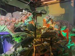 -恐龙探索乐园(磁器口店)