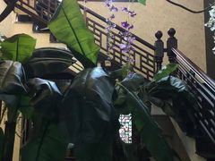 -碧丽宫大酒店(召稼楼店)