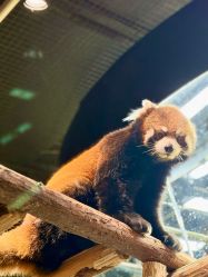 -Zoolung Zoolung动物主题公园(海信广场店)