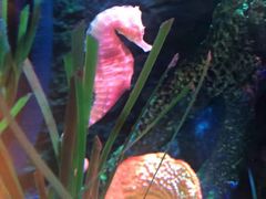 -沈阳海洋探索中心