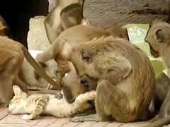 -昆明动物园