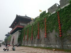 -东台西溪天仙缘景区