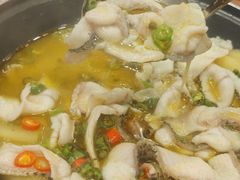 -周正水煮活鱼·吊水鱼(万科店)