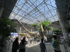 -国家自然博物馆