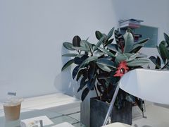 -CAKE WANG千层制造所(省府店)