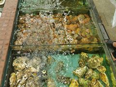 -景好海鲜餐厅(大鹏必选旅游店)