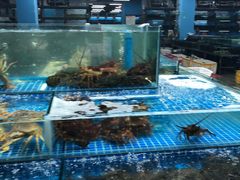 水产区-渔人湾码头海鲜市场负二楼
