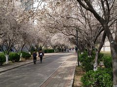 -山东师范大学(千佛山校区)