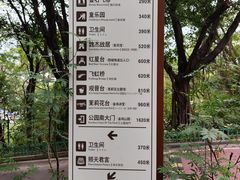 -金鸡山公园