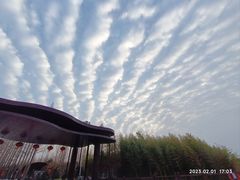 -黄海国家森林公园