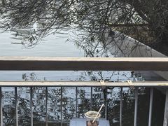 -月湖风景区
