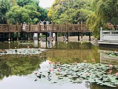 -深圳国际园林花卉博览园