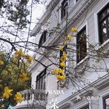 🕰荣宅｜城市中的一片净土