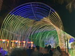 -欢乐海岸椰林沙滩-2025湾区超级灯会