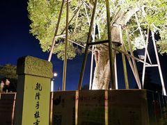 -观潮胜地公园