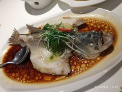 -至潮餐厅精致粤菜·活鲈鱼·走地鸡(珠江新城店)
