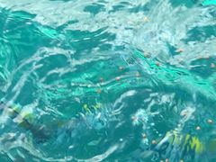 -亚龙湾海底世界