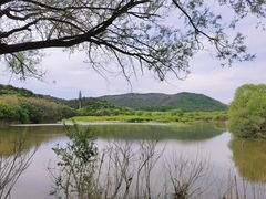 -棋盘山风景区