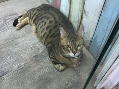 -小时光咖啡馆(开森度假森林店)