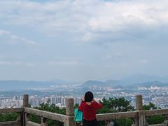-风云岭森林公园