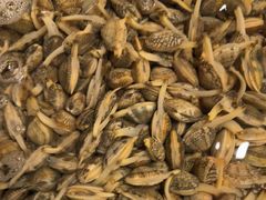 -和源祥·日照菜扛把子(万平口一店)