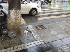 -树夏(建设路店)
