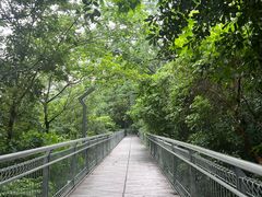-佛山华盖山公园
