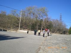 -白水寺森林公园