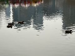 -团结湖公园