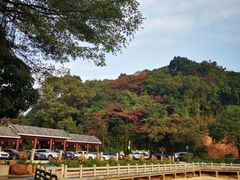 -广州市帽峰山景区